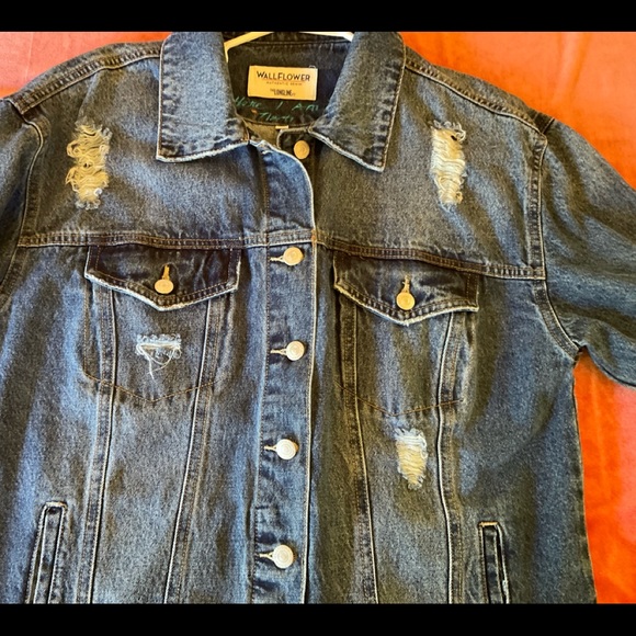 Size Large GORGEOUS HANDPAINTED Jean jacket. Unique and organic. - Picture 5 of 11